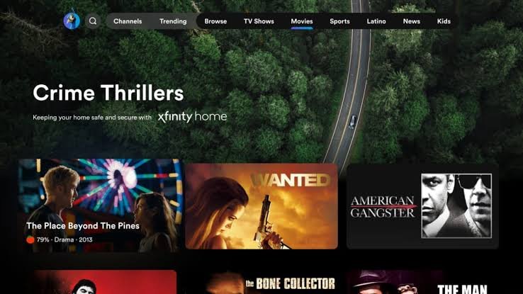 Peacock TV apk